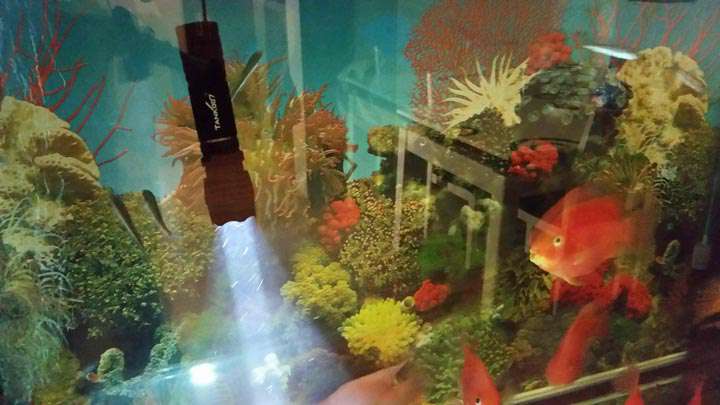 手電PT10，為戰術而生